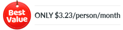 Best Value - Team of 25 License